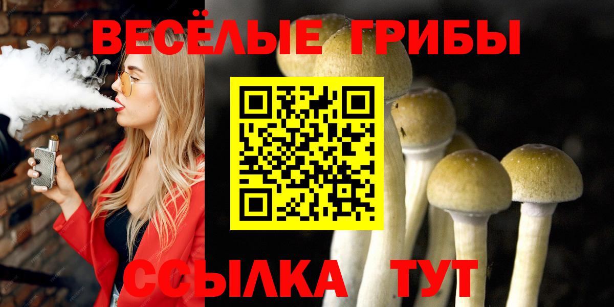 Псилоцибиновые грибы Psilocybe Жигулёвск